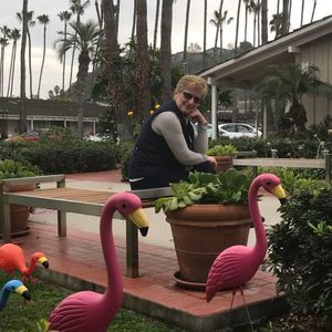 Meet your Posher, Merita